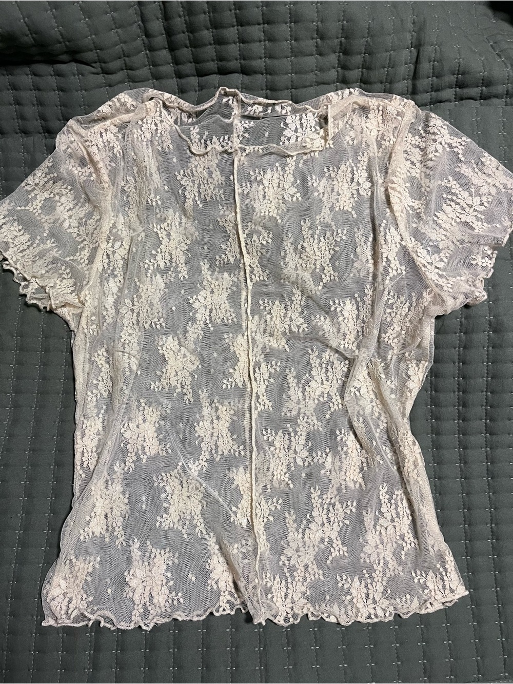 Sheer Lace Short Sleeve Top - Cream
